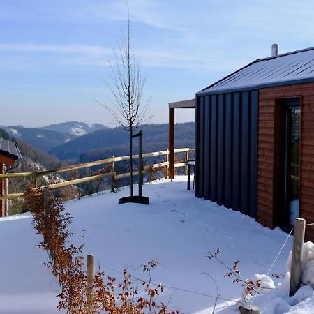 Uplandparcs Winterberg Βίλα Εξωτερικό φωτογραφία