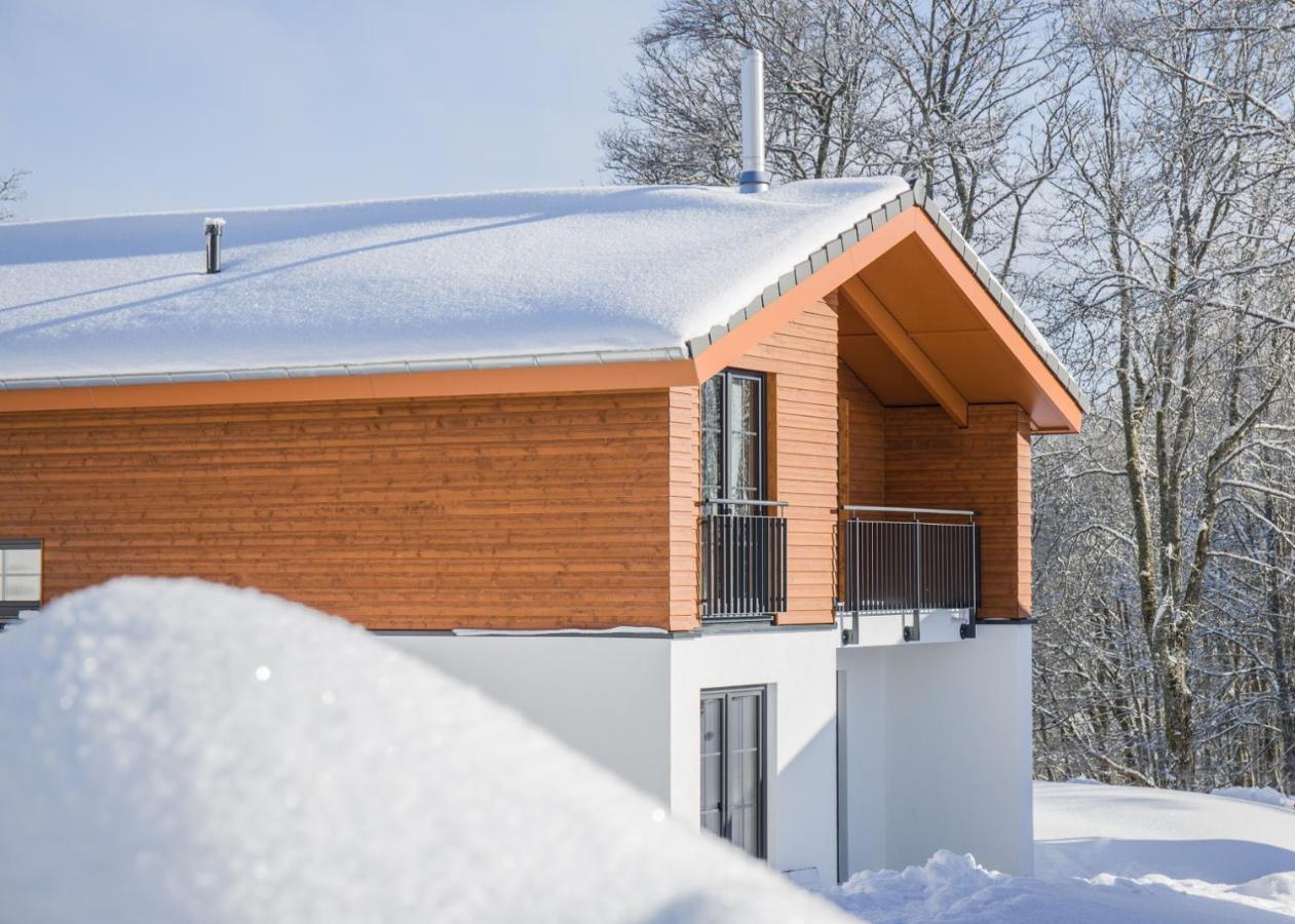 Uplandparcs Winterberg Βίλα Εξωτερικό φωτογραφία