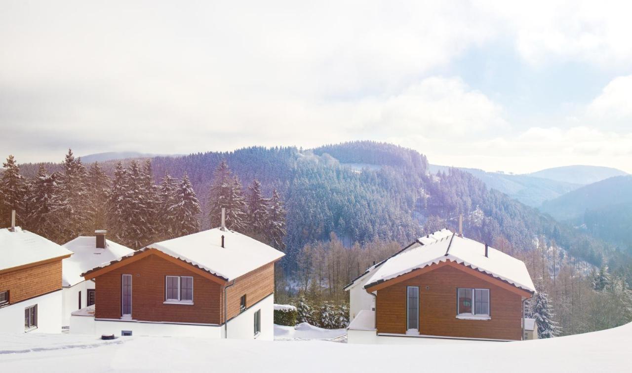 Uplandparcs Winterberg Βίλα Εξωτερικό φωτογραφία