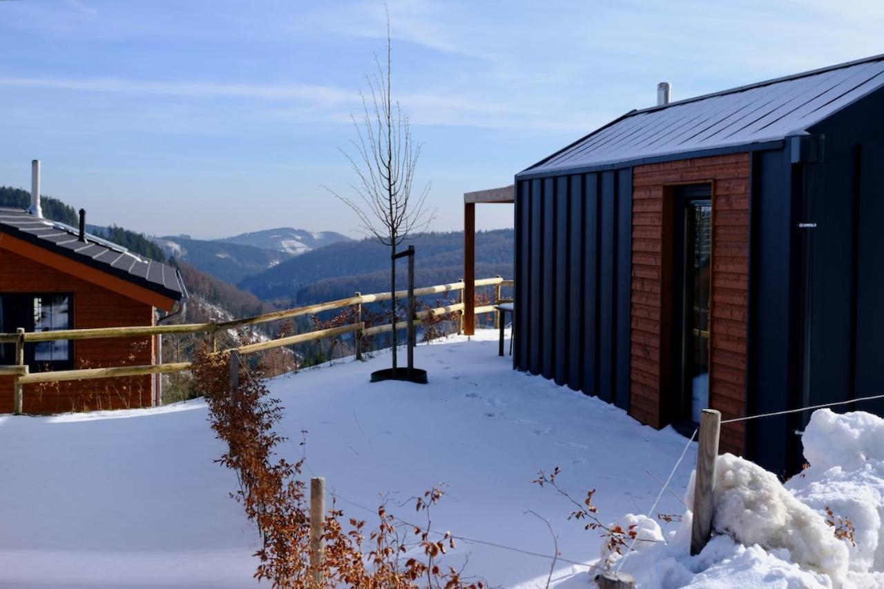 Uplandparcs Winterberg Βίλα Εξωτερικό φωτογραφία