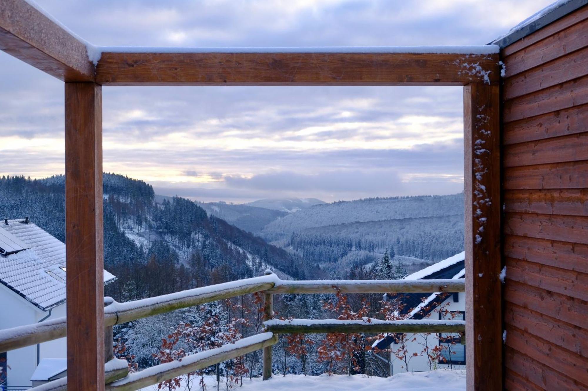 Uplandparcs Winterberg Βίλα Εξωτερικό φωτογραφία